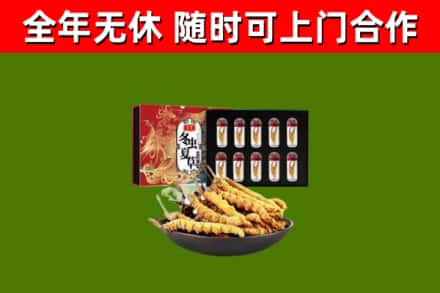 铁锋烟酒回收冬虫夏草礼盒.jpg