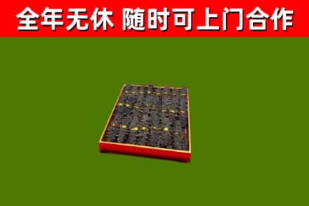 铁锋回收海参